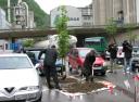 Župan Barovič in direktor Virant sadita javor, v ozadju trije s kamerami